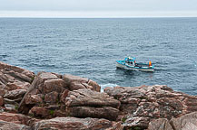 Cape Breton National Park