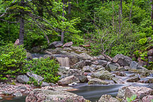 Cape Breton National Park