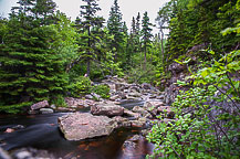 Cape Breton National Park