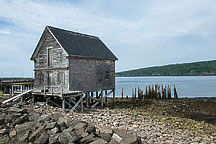 A Shack on the Way Back