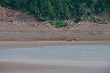 Chilling Out on the Sandbar