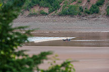 The Tidal Bore