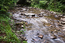 Campground Stream