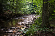 Campground Stream & Trailer