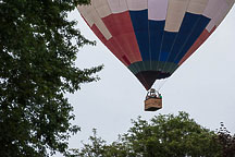 Over the Trees