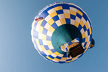 SpiedieFest Balloons