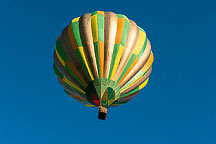 SpiedieFest Balloons