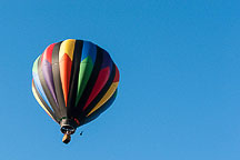 SpiedieFest Balloons
