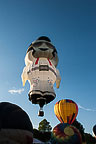 SpiedieFest Balloons