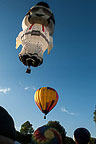 SpiedieFest Balloons
