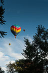 SpiedieFest Balloons