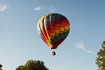 SpiedieFest Balloons