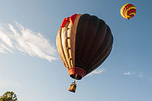 SpiedieFest Balloons