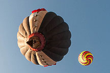 SpiedieFest Balloons