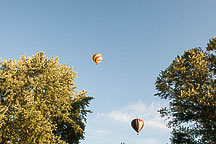 SpiedieFest Balloons