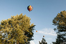 SpiedieFest Balloons