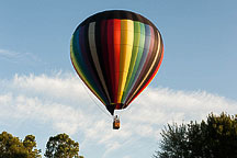 SpiedieFest Balloons