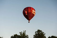 SpiedieFest Balloons