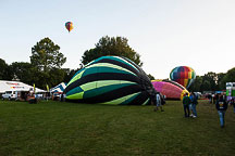 SpiedieFest Balloons