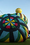 SpiedieFest Balloons