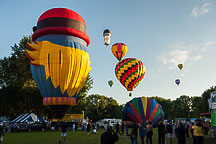 SpiedieFest Balloons