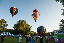 SpiedieFest Balloons