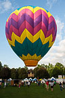 SpiedieFest Balloons