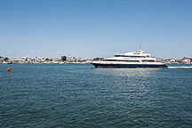 The Fast Ferry