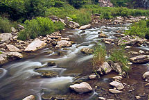 Stream Below Chittenango Falls, NY