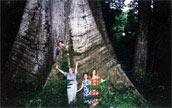 Photos of Cameroon