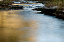 Salmon River