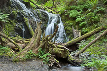 Moran State Park, WA