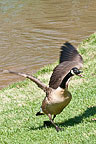 Wheaton Regional Park