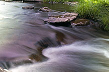 The Salmon River Below the Falls