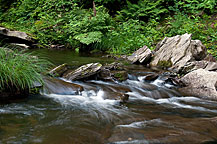 The Salmon River Below the Falls