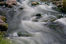 Chittenango Creek