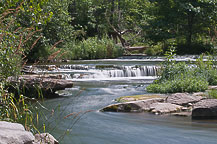 Chittenango Creek