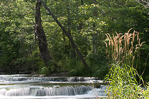 Chittenango Creek