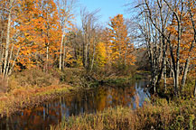 Rice Creek, Oswego, NY