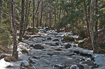 Stream in Adirondacks