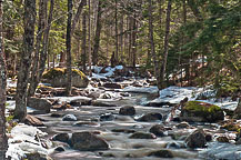 Stream in Adirondacks