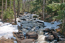 Stream in Adirondacks