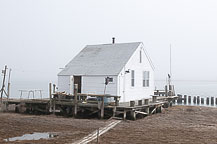 Bay House