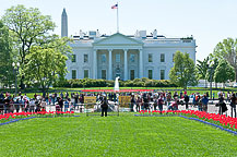 Cherry Blossom Parade Day