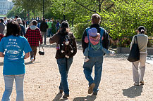 Cherry Blossom Parade Day