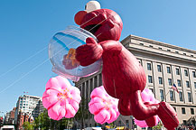 Cherry Blossom Parade Day