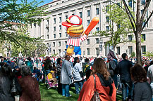 Cherry Blossom Parade Day