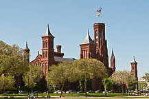 Cherry Blossom Parade Day