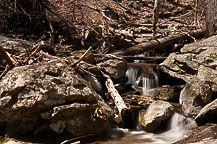 Dark Hollow Falls Walk