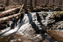 Dark Hollow Falls Walk